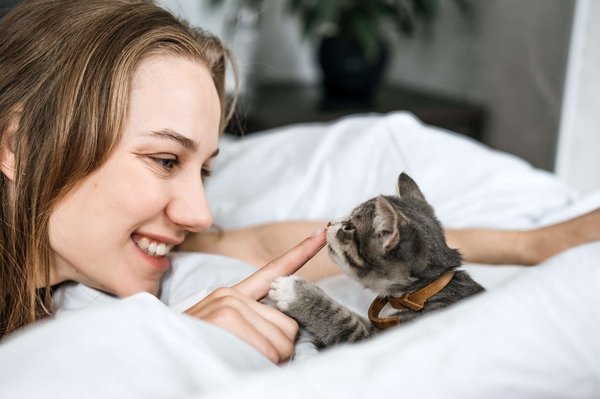 10 choses à savoir avant d'adopter un chat